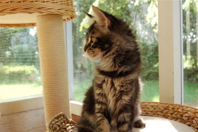 youp gaga en nina week 15 029.jpg